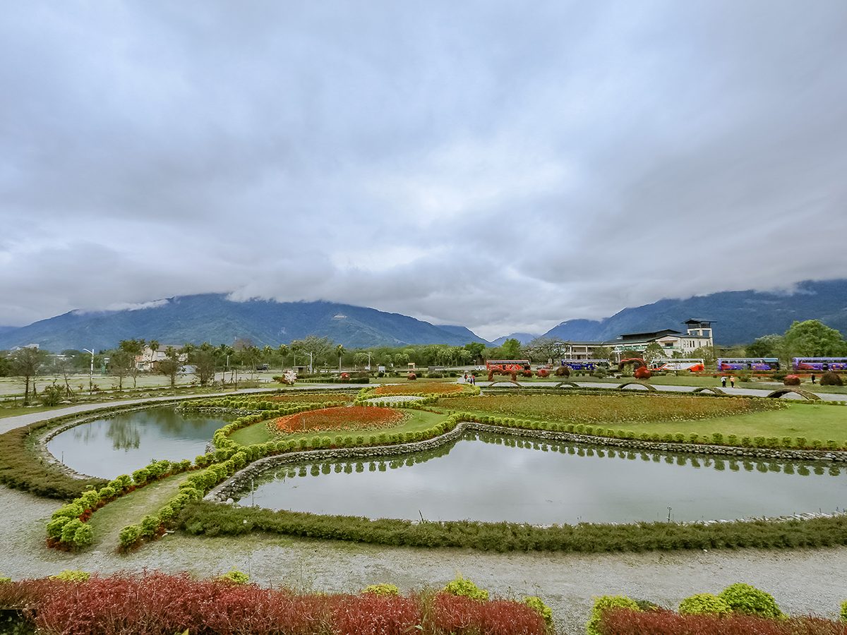 池上鄉農會四季花海的花田與遠山