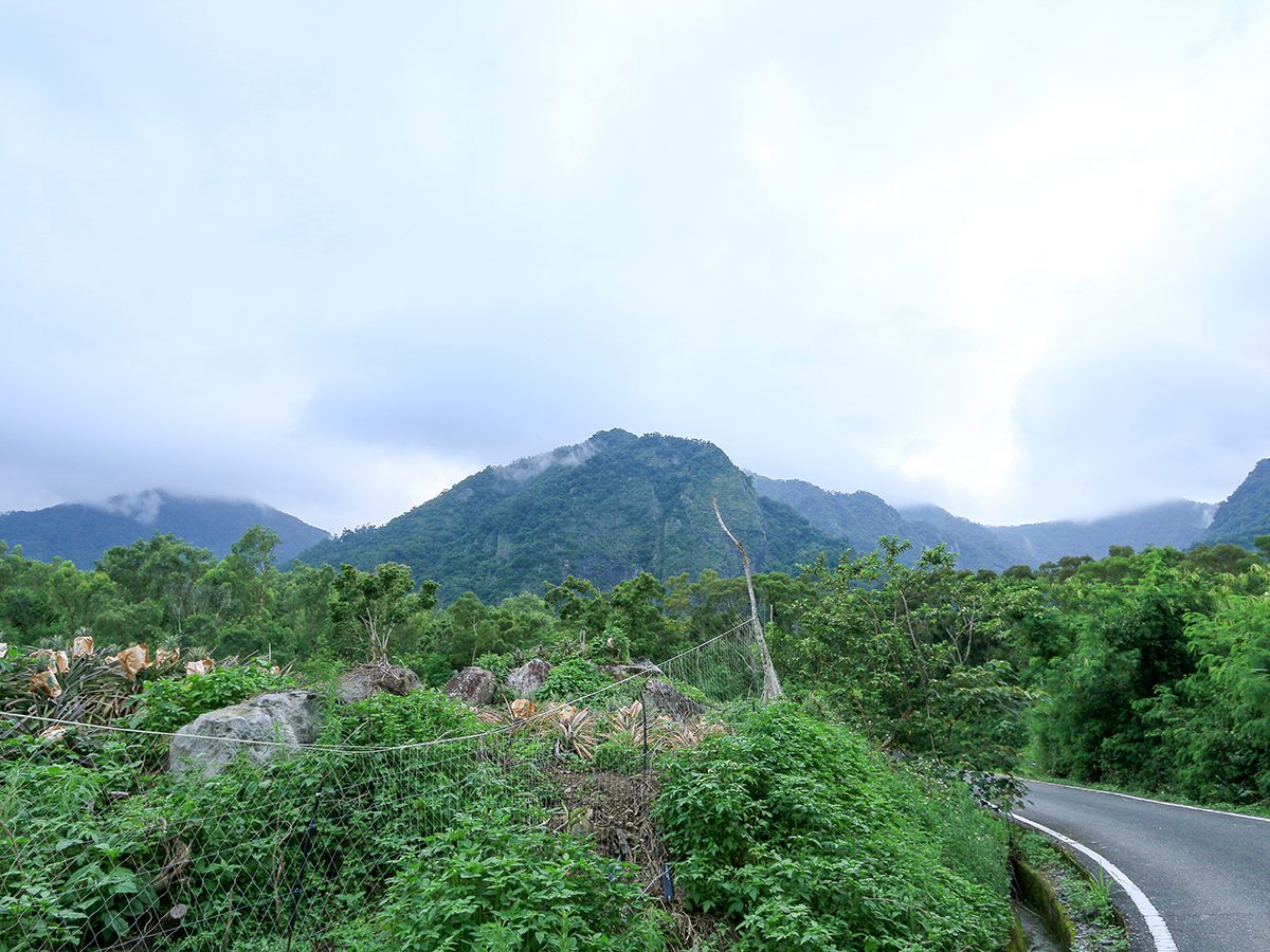 都蘭林場望向山稜的景色
