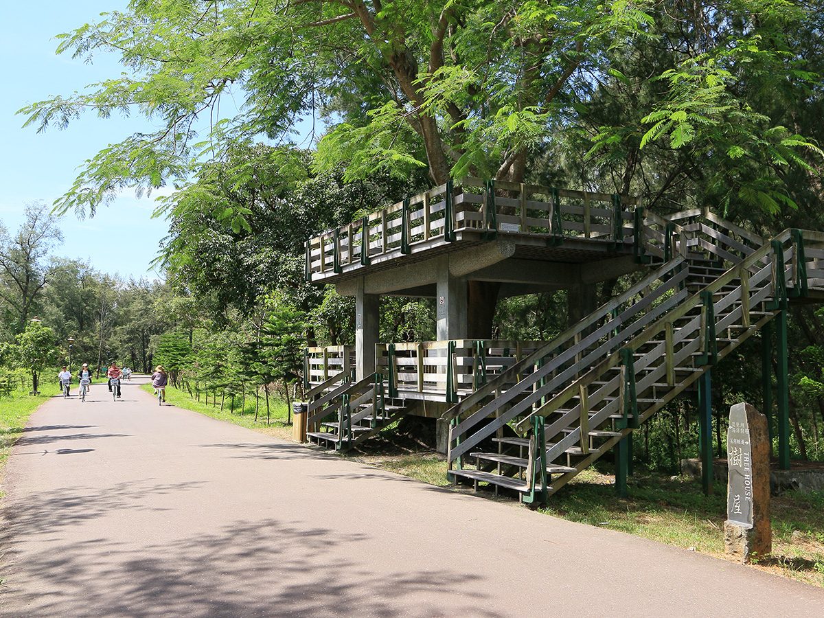 台東森林公園的林間步道與木造觀景台